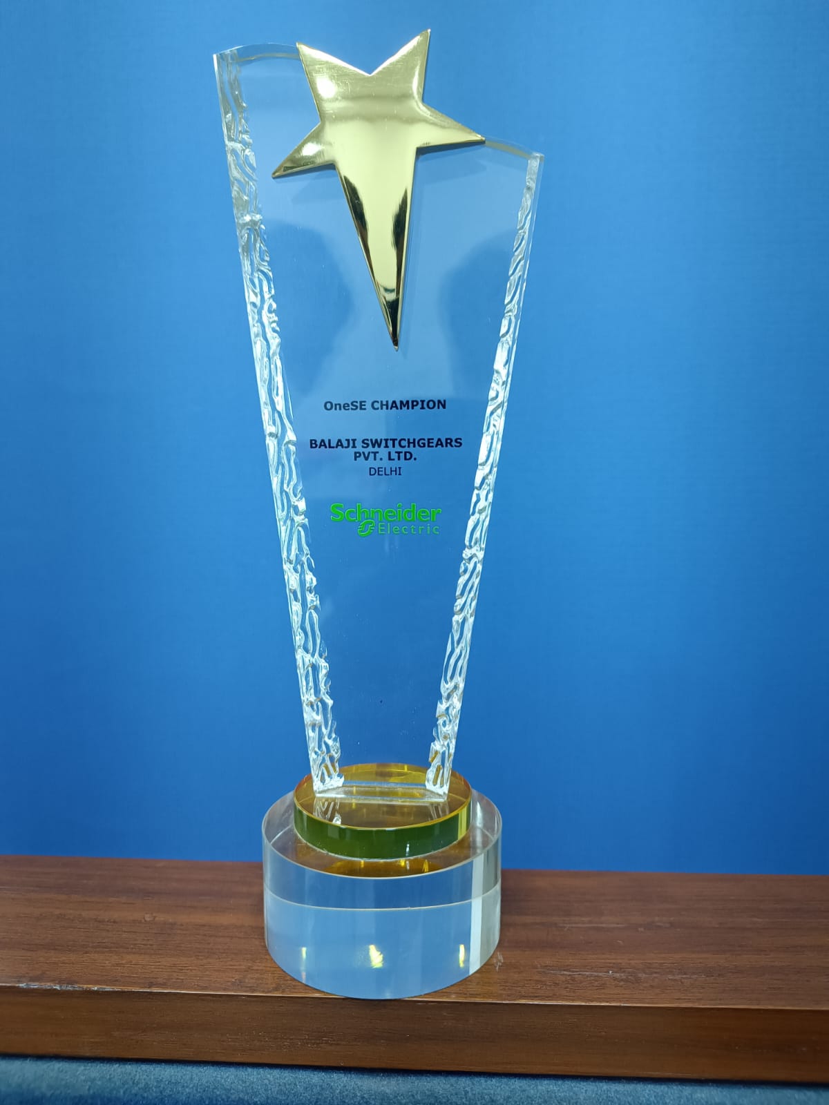 OneSE Champion Award